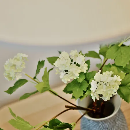 Apartament Spot Ceuta